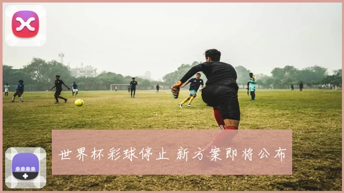 世界杯彩球停止 新方案即将公布