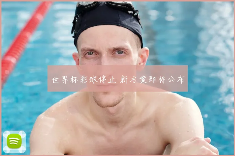 世界杯彩球停止 新方案即将公布