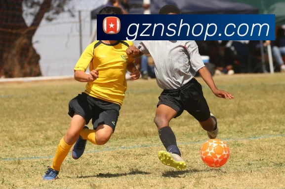 App Interface Preview